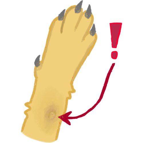 a digital illustration of a dog's paw in yellow. It is drawn in a cartoon style with grey claws. An exclamation mark is added to the image, and a red arrow points to a small circular bite mark on the paw.